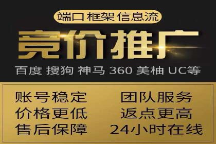 SEM托管公司案例分析：实战技巧全解析